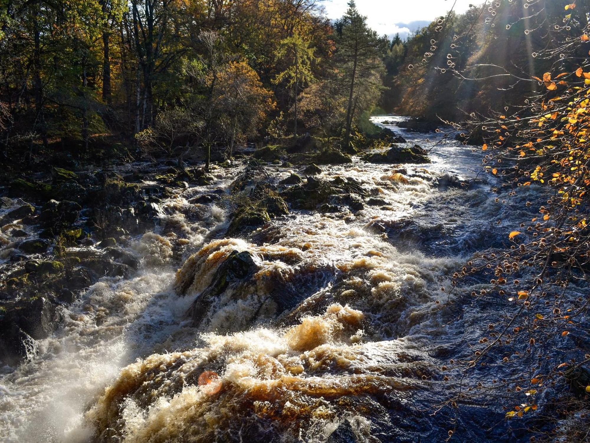 Toll Bridge Lodge Banchory Esterno foto